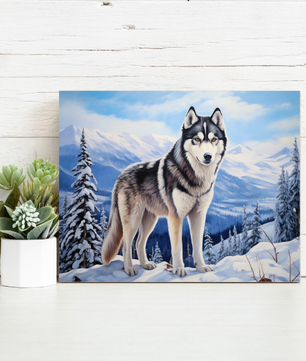 Arctic Husky Watch – Paint by Numbers Kit
