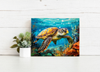 Ocean Turtle – Paint by Numbers Kit