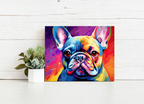 Pop Art Frenchie – Paint by Numbers Kit