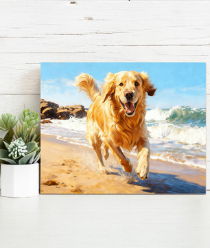 Golden Shore Pup – Paint by Numbers Kit