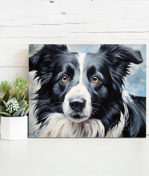 Border Collie Gaze – Paint by Numbers Kit
