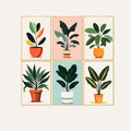 Plant Parent Club - 6 Piece Kit